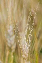 Similar image 8357840