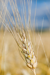 Similar image 8357841