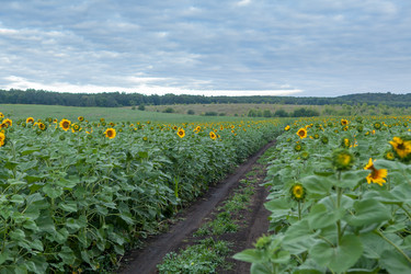 Similar image 8357857