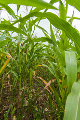 Similar image 8357859