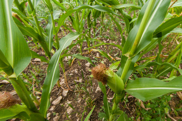 Similar image 8357860