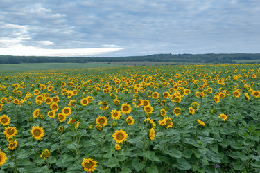 Similar image 8357861