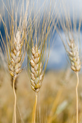 Similar image 8357897