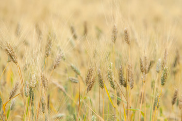 Similar image 8357898