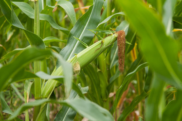 Similar image 8357899