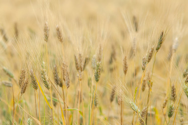 Similar image 8357900