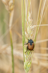 Similar image 8357901