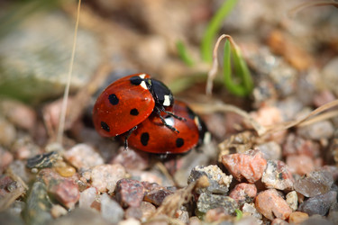 Similar image 8357927