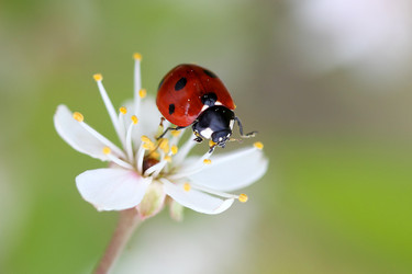 Similar image 8357928