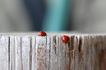 Similar image 8357929