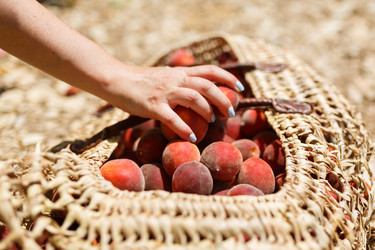 Similar image 8357980