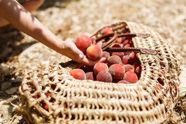 Similar image 8357981