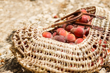 Similar image 8357982