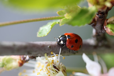 Similar image 8358109