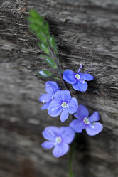 Similar image 8358110