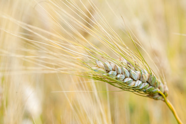 Similar image 8358112