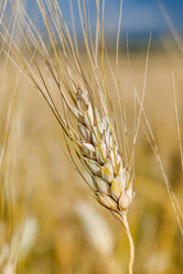 Similar image 8358113