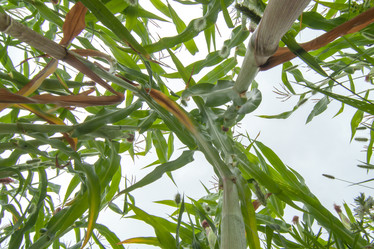 Similar image 8358114