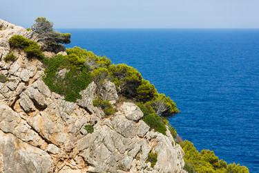 Similar image 8358149