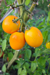 Similar image 8358150