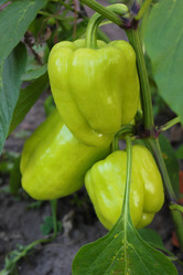 Similar image 8358151