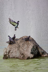 Similar image 8358152