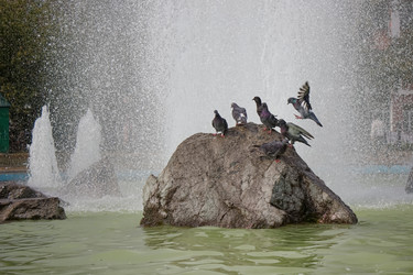 Similar image 8358153