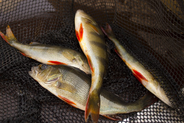 Similar image 8358154