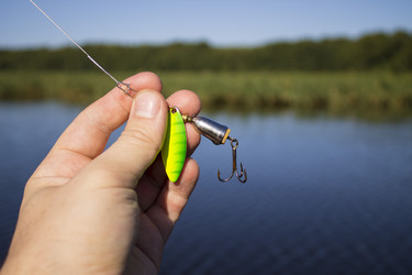 Similar image 8358155