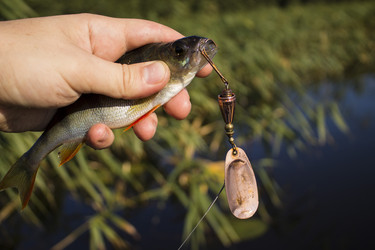 Similar image 8358156