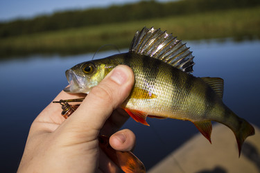 Similar image 8358157