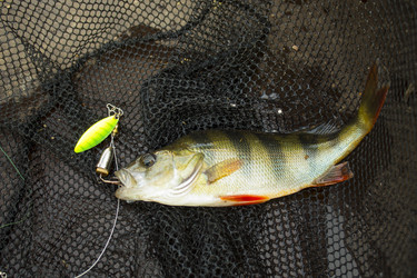 Similar image 8358160