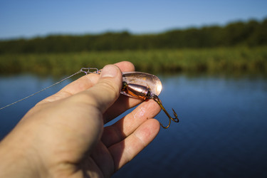 Similar image 8358162