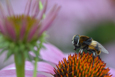 Similar image 8358239