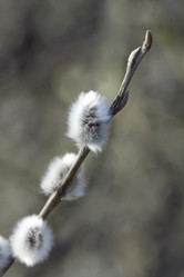 Similar image 8358315