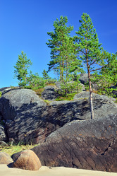 Similar image 8358324