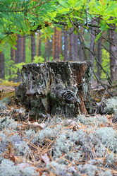 Similar image 8358327