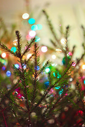 Similar image 8358335