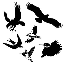 Similar image 8358352