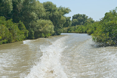 Similar image 8358474