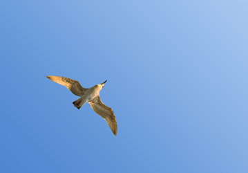 Similar image 8358491