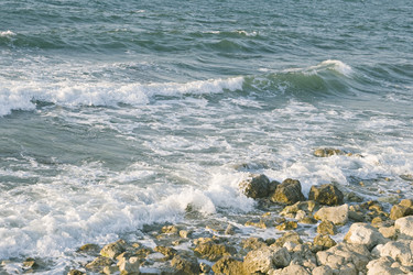 Similar image 8358601