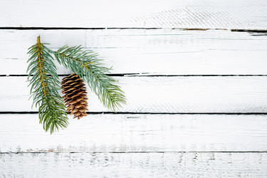 Similar image 8358692