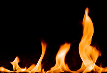 Similar image 8358800