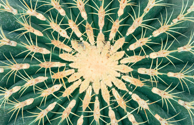 Similar image 8358805