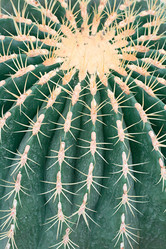 Similar image 8358806