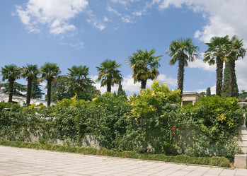 Similar image 8358812