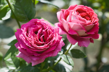 Similar image 8358813