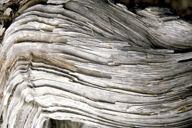 Similar image 8358821