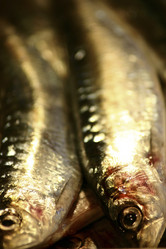 Similar image 8358822